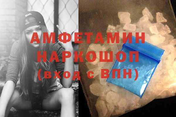 молекула духа Ростов