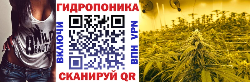 Конопля SATIVA & INDICA  мега ссылка  Первомайск  наркошоп 